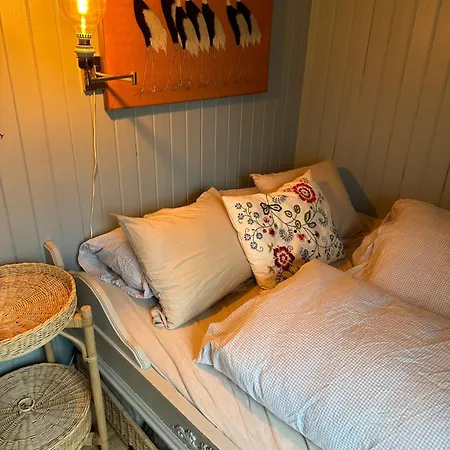 Salt Holiday home Hvasser